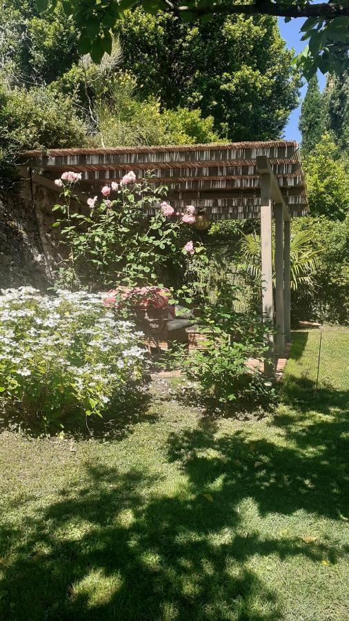 Casa Di Leo With Pool Villa Radicondoli Exteriör bild